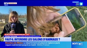 Provence : faut-il interdire les salons d'animaux ?