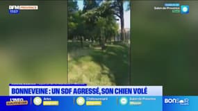 "C'est un grand vide": à Marseille, un homme sans-abri s'est fait voler son chien