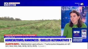 Colère agricole: comment favoriser la place des agriculteurs et de leurs exploitations en Île-de-France? 