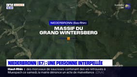 Bas-Rhin: une personne interpellée après un feu de forêt sur le massif du Grand Wintersberg 