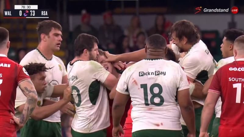 Pays de Galles-Afrique du Sud: doigt dans l'Å“il et carton rouge, l'Ã©norme craquage d'Eben...