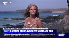 L'actrice Raquel Welch, icône hollywoodienne, est morte à 82 ans