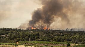 L'incendie qui s'est déclaré samedi 24 juillet dans l'Aude avait parcouru 850 hectares de végétation dans la montagne d'Alaric