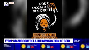 Lyon: une manifestation prévue ce lundi soir contre la loi immigration