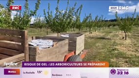 Risque de gel: Les arboriculteurs se préparent au grand froid