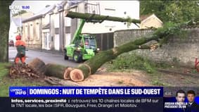 Domingos: après la tempête, les communes touchées déblaient les rues