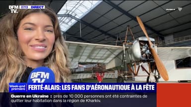 Des avions de collection exposés lors de la fête de l'aéronautique à La Ferté-Alais, en Essonne