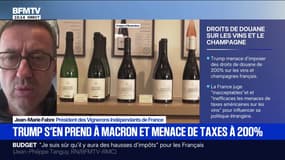 Menaces de Donald Trump: "Ce rapport de force ne peut plus durer parce qu'il sera défavorable à tout le monde", déclare Jean-Marie Fabre, président des vignerons indépendants de France