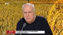 La GG du jour  : Les maires doivent-ils pouvoir interdire les pesticides ?  - 08/08