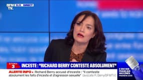 Story 5 : "Il conteste absolument les faits d'inceste et d'agression sexuelle", dit l'avocate de Richard Berry - 16/02