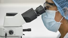 Image d'illustration