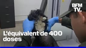 Un Colombien arrêté à l'aéroport avec de la cocaïne cachée sous une perruque 