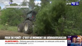 À l'approche de l'été, l'heure est au débroussaillement pour prévenir les feux de forêt