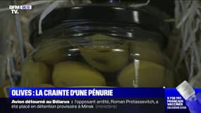 Olives: la crainte d'une pénurie