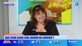 Le Café des Jardiniers: que faire dans son jardin en hiver?