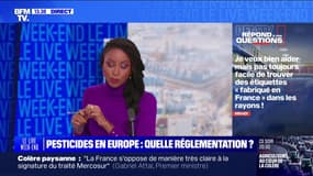 Comment aider les agriculteurs? BFMTV répond à vos questions