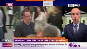 Mort de Matthew Perry: cinq personnes ont été arrêtées