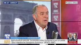 Canicule: le ministre de l'Agriculture a pris un arrêté "pour interdire les transports d'animaux"