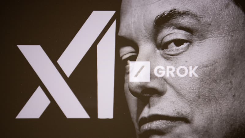 Ashley St. Clair, mère du 13e enfant d'Elon Musk, attaque xAI en justice pour avoir été représentée "dans des positions sexuelles, pratiquement nue" par Grok à de multiples reprises et sans son consentement