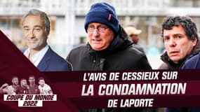 Condamnation de Laporte : "Certains sont ravis de l'aubaine" selon Cessieux 