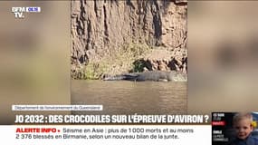 JO 2032: des crocodiles observés à proximité du futur site des épreuves d'aviron en Australie