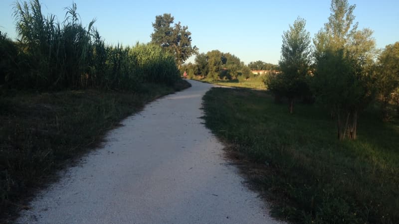 Le corps d'une jeune fille égorgée avait été retrouvé mardi, dans ce parc de Perpignan.