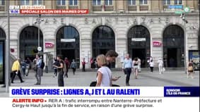 Paris: une grève surprise sur les lignes du Transilien et une partie du RER A