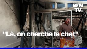 Marseille: ils retrouvent leurs logements détruits après l'incendie  