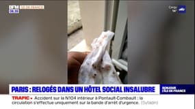 Paris: une dizaine de familles franciliennes relogées dans un hôtel social insalubre