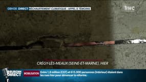 "Affaire du siècle": quelles conséquences du changement climatique en France