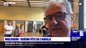 Molsheim: 150ème fête de l'abeille 