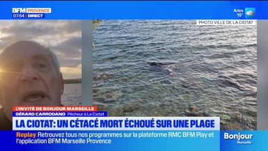 L'invité de Bonjour Marseille du jeudi 13 novembre 2025 - Gérard Carrodano