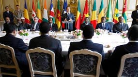 Lors d'un déjeuner de travail au Palais de l'Elysée réunissant 12 chefs d'Etat de l'Afrique francophone subsaharienne, Nicolas Sarkozy a déclaré que la France accorderait les mêmes pensions à ses anciens combattants originaires d'Afrique qu'à leurs homolo
