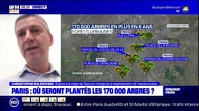 Où seront plantés les 170.000 arbres promis par Hidalgo? ""Partout où on peut les mettre", assure Christophe Najdovski