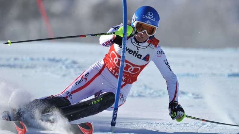 Marlies Schild