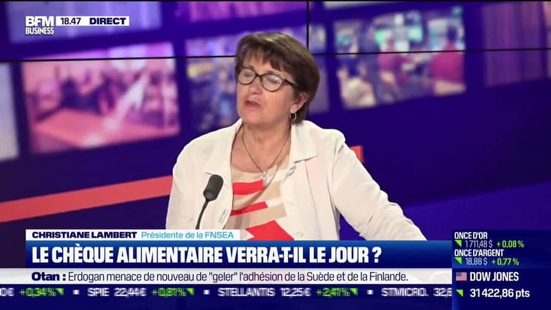 Des aides suffisantes pour l'alimentaire ? - 18/07