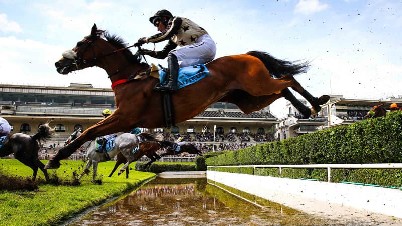 Le Grand Steeple-Chase de Paris a lieu ce dimanche 19 mai à Auteuil
