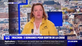 Agriculture: la vice-présidente de la Coordination rurale affirme "n'avoir aucune accointance" avec le RN