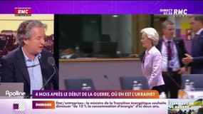 Nicolas Poincaré : Quatre mois après le début de la guerre, où en est l'Ukraine ? - 24/06