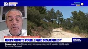 Bouches-du-Rhône: à quoi ressemblera le parc des Alpilles dans les années à venir? 
