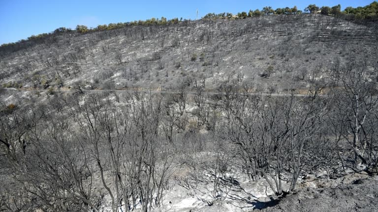 À La Garde-Freinet, dans le Var, après l'incendie, le 19 août 2021 (illustration)