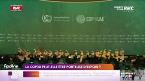 La COP28 peut-elle être porteuse d'espoir ?