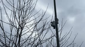 Une caméra servant à détecter les déchets sauvages à Wattignies (Nord), le vendredi 28 février 2025.