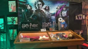 Une exposition Harry Potter à Marignane (Bouches-du-Rhône) le 18 octobre 2024. 