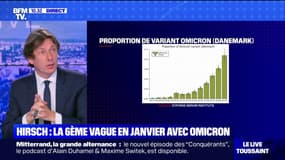Covid-19: pourquoi Martin Hirsch, le directeur général de l'AP-HP, parle d'une "6e vague en janvier" ?