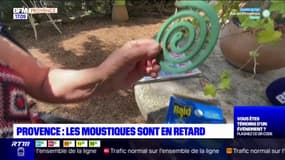 Provence: bientôt le retour des moustiques