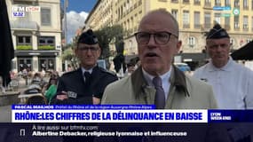 Rhône: les chiffres de la délinquance en baisse
