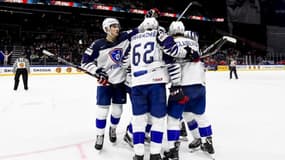 L'équipe de France de hockey