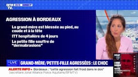 Agression à Bordeaux: dans quel état sont la grand-mère et sa petite-fille?