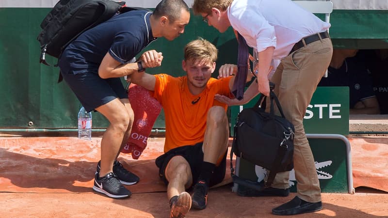 David Goffin